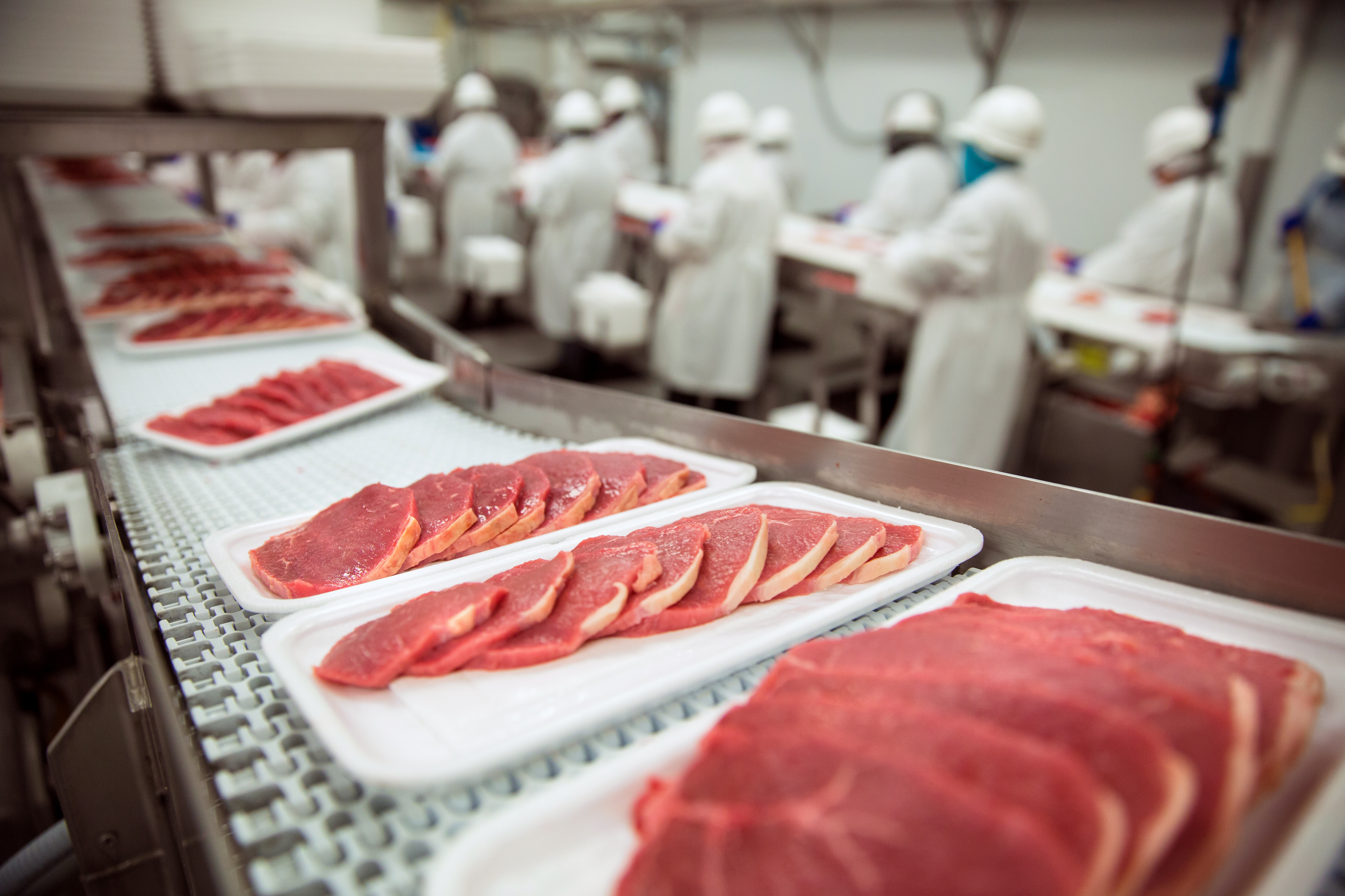 Строительство цеха по переработке мясной продукции КРС в г. Белогорск