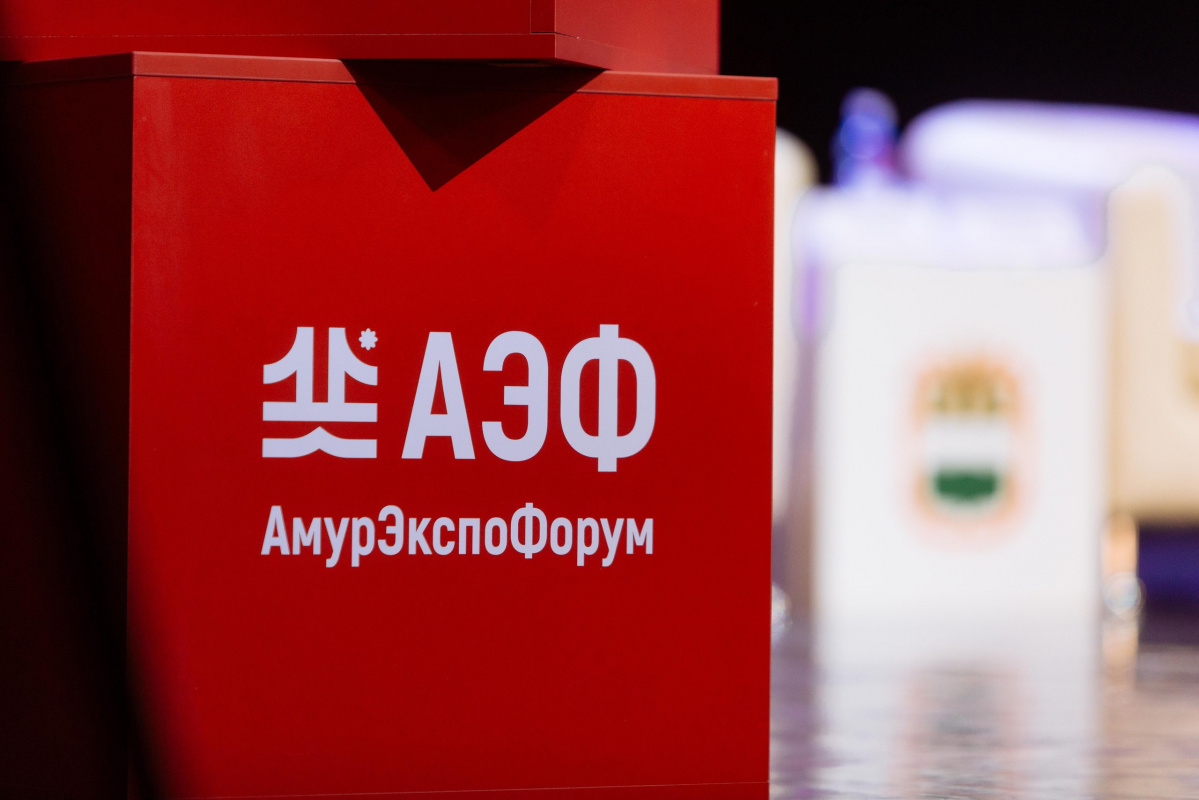Роль регионов и новые условия: на АЭФ-2023 обсудят развитие российско-китайского сотрудничества