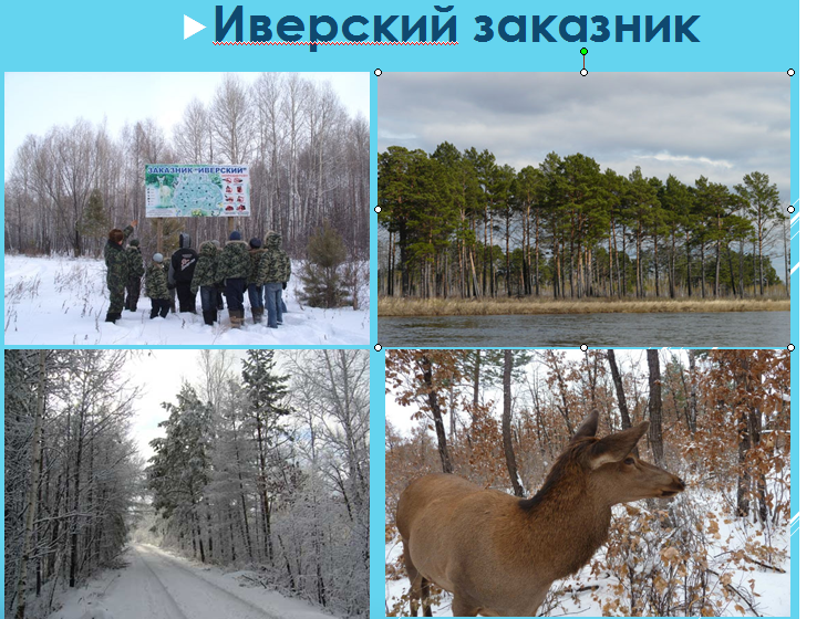Туристический потенциал