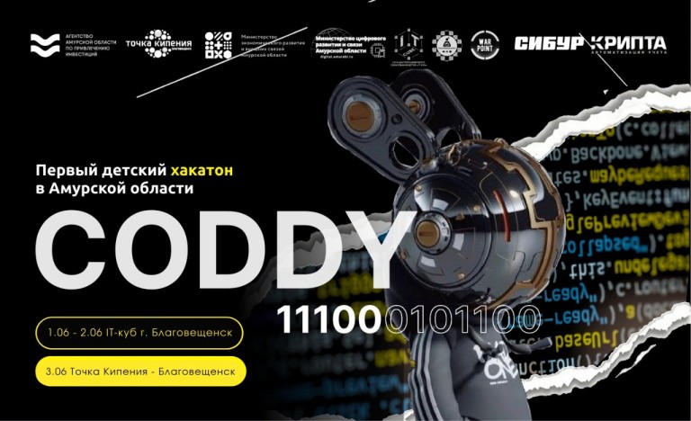 В Амурской области впервые проведут масштабный хакатон детей и подростков.