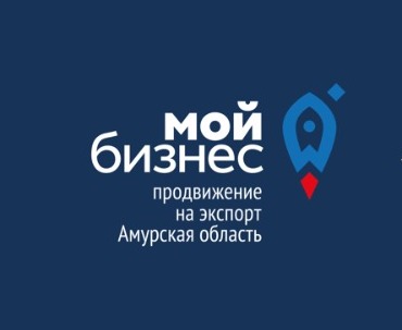 Подведены итоги работы региональных Центров поддержки экспорта за 2024 год