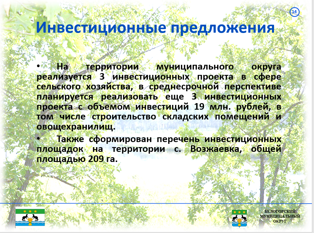 Инвестиционный профиль