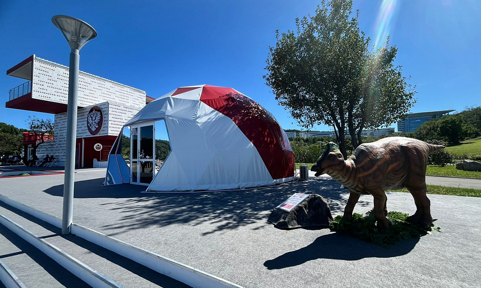 На выставке «Улица Дальнего Востока» в рамках IX Восточного экономического форума представлен туристический потенциал Приамурья