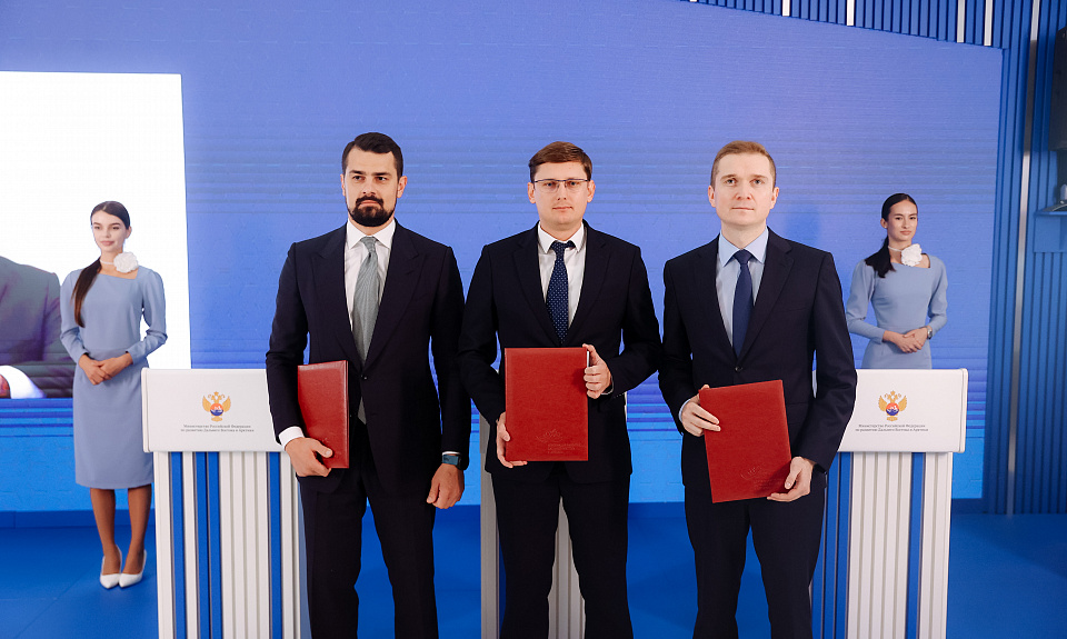 Инвестор рассматривает возможность строительства ветропарка в Амурской области 