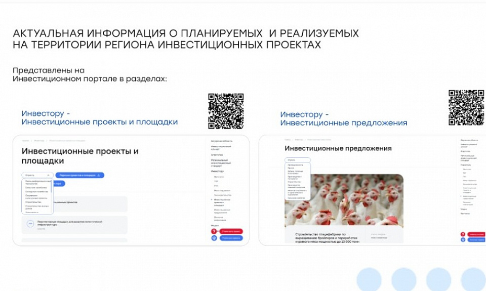 Качество работы Инвестиционного портала Амурской области оценят эксперты региона в рамках исследования АСИ