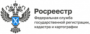 Управление Росреестра по Амурской области