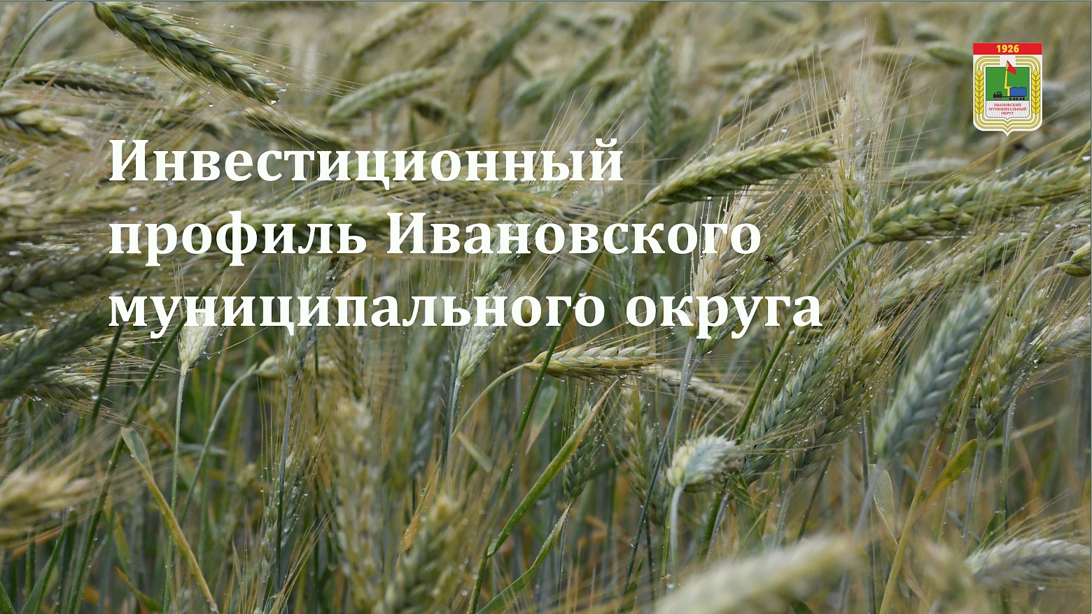 Инвестиционный профиль