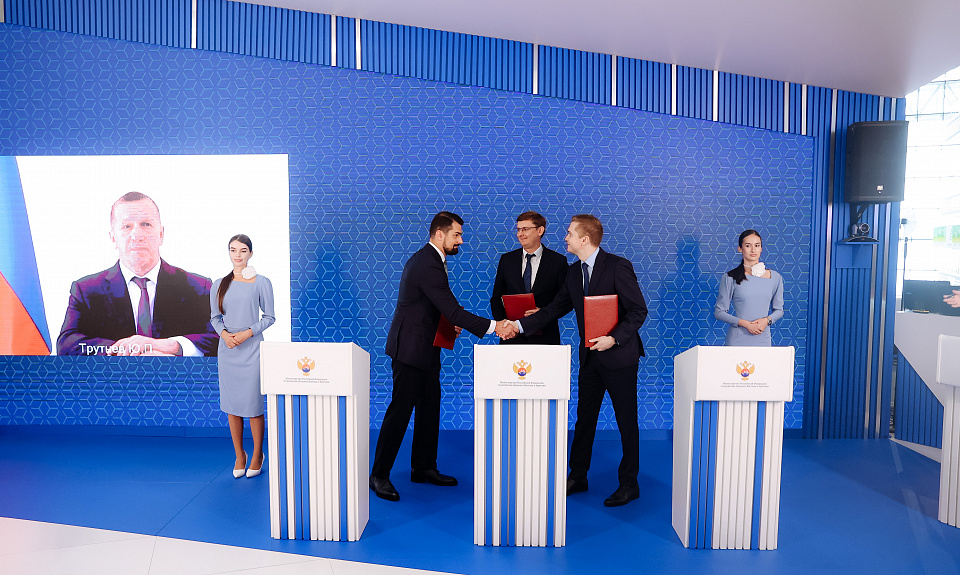 Инвестор рассматривает возможность строительства ветропарка в Амурской области 