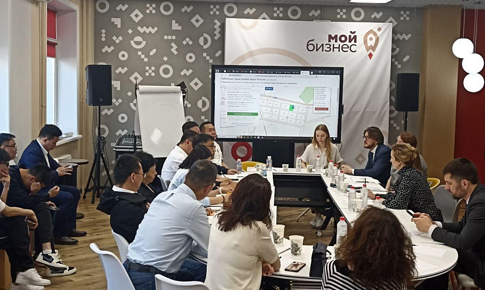 Консультации, встречи и предложения: интерес зарубежных предпринимателей к инвестиционной сфере Приамурья растет 