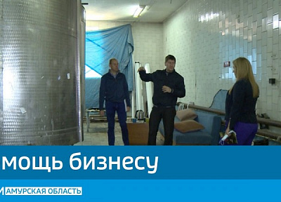 Амурским предпринимателям помогают искать инвесторов для новых проектов