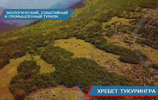 Туризм