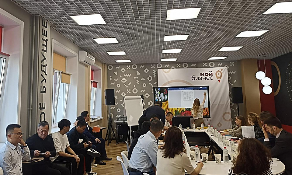 Представители иностранных компаний в 2024 году стали чаще обращаться в Агентство Амурской области по привлечению инвестиций 