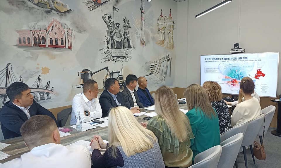 Делегация китайской компании, занимающейся добычей и глубокой переработкой полезных ископаемых, прибыла в Приамурье для знакомства с условиями инвестиционного и торгово-экономического сотрудничества