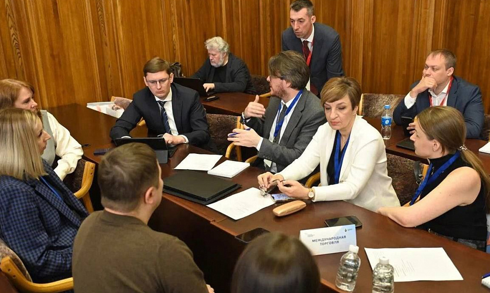 Представители Амурской области приняли участие в стратегической сессии по вопросам улучшения инвестиционного климата в ДФО