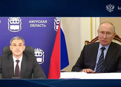 Владимир Путин положительно отметил достижения Амурской области в привлечении инвестиций